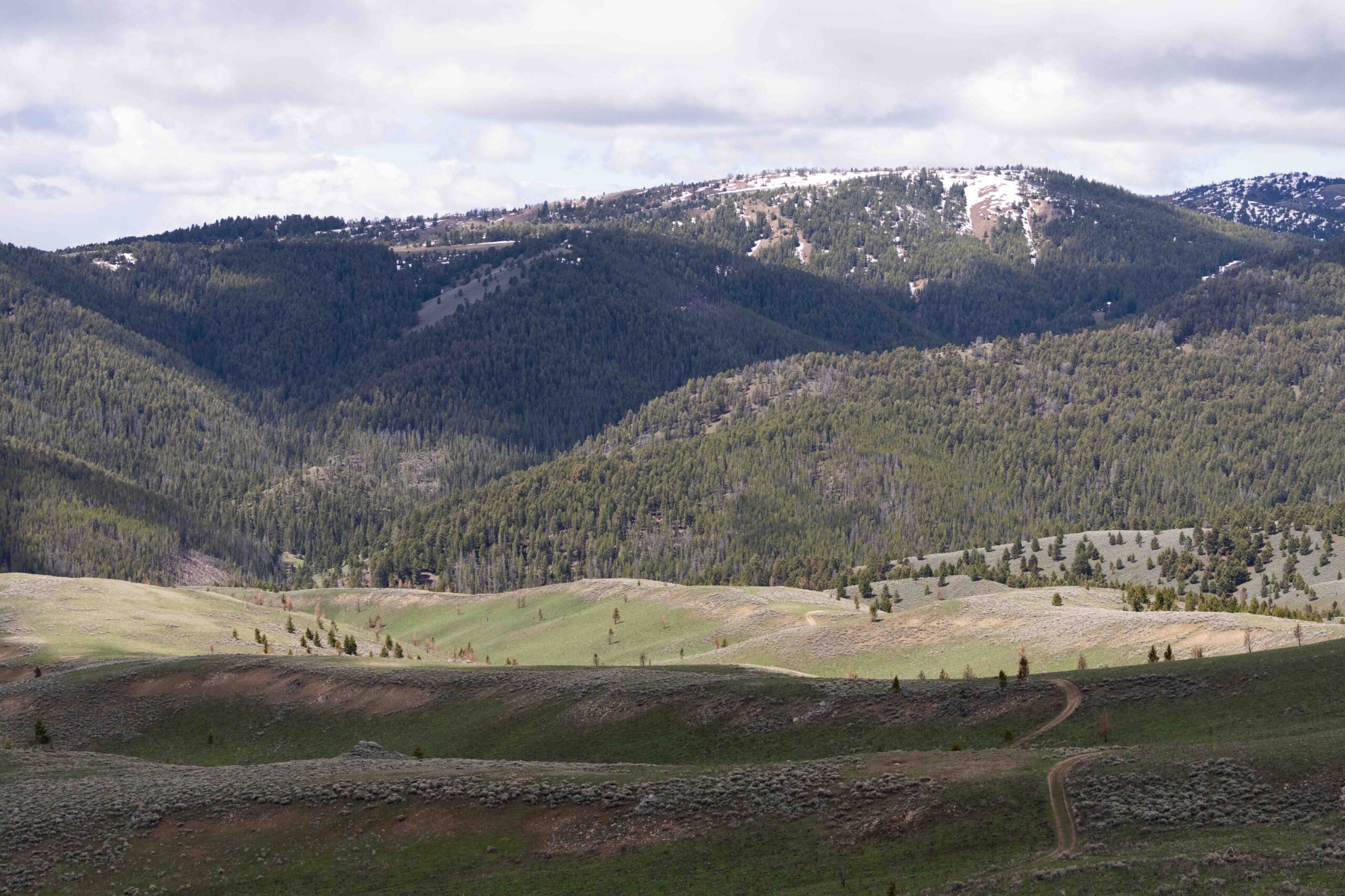 Annual Tough Stump Rodeo